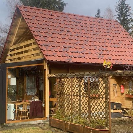 Holzhaus Mit Direktem Wasserzugang In Berlin-Koepenick Exterior photo